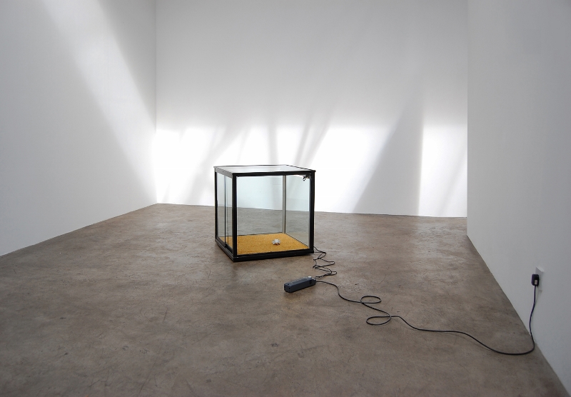 From Day One (2008) variable dimensions, approx. 63.5 x 63.5 x 68 cm. illuminated glass display case, carpet, crumpled card (child's shirt collar insert)&amp;nbsp;